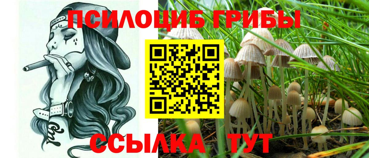 Галлюциногенные грибы Magic Shrooms Печора