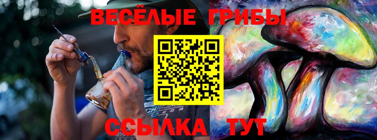 Галлюциногенные грибы Psilocybine cubensis  Вход с VPN  Печора 